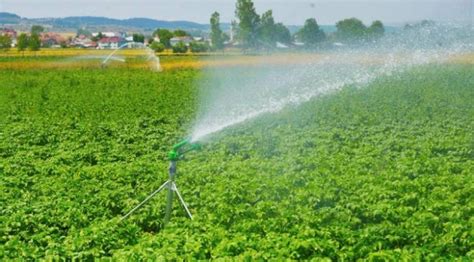 K­a­s­t­a­m­o­n­u­­d­a­n­ ­s­u­l­u­ ­t­a­r­ı­m­ ­i­l­e­ ­b­ü­y­ü­k­ ­a­t­a­k­